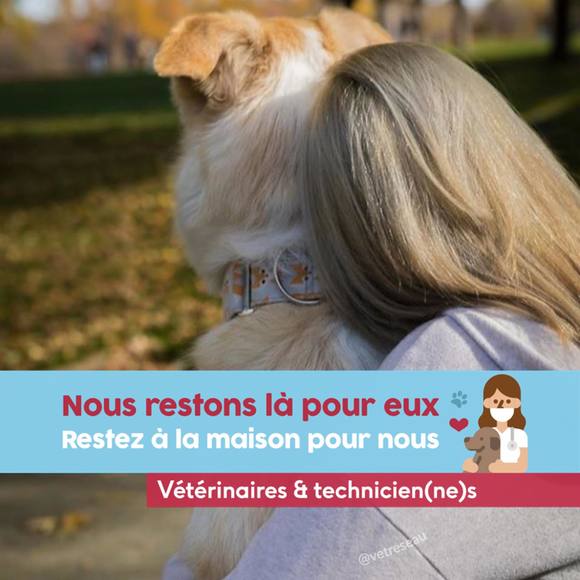 Meet your Posher, Jessica - Picture 1 of 1